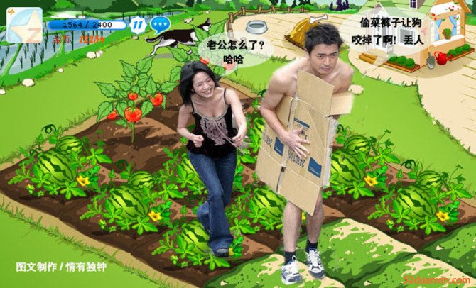 偷菜笑話