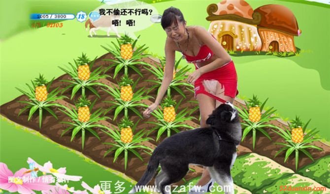 偷菜笑話