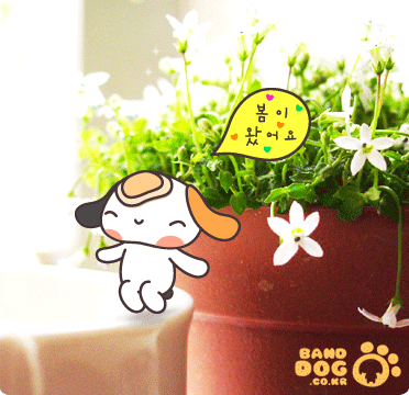 手機非主流閃圖