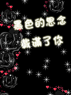 www.feizl.com