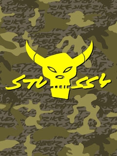 www.fanticn.com
